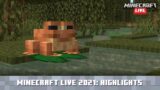 Minecraft Live 2021: Update Highlights