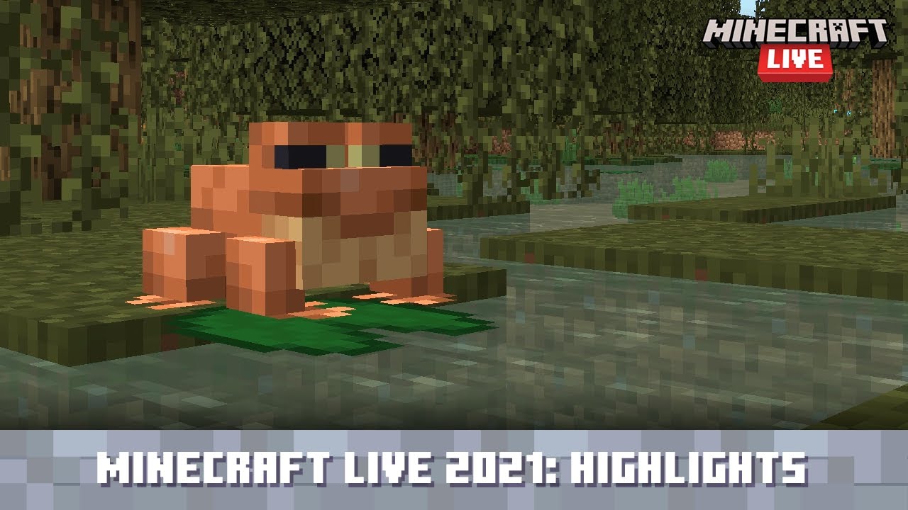 Minecraft Live 2021 Update Highlights Minecraft Videos