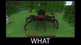 Minecraft wait what meme part 31 realistic minecraft spider