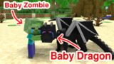 Monster School : Baby Dragon and Baby Zombie – Sad Story – Minecraft Animation