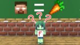Monster School : Oh No, Baby Zombie Girl – Sad Story – Minecraft Animation
