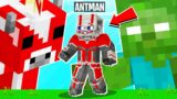 STEALING MOST POWERFUL ARMOUR FROM ANTMAN IN MINECRAFT