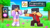 Using The PROPOSAL MOD In Minecraft!