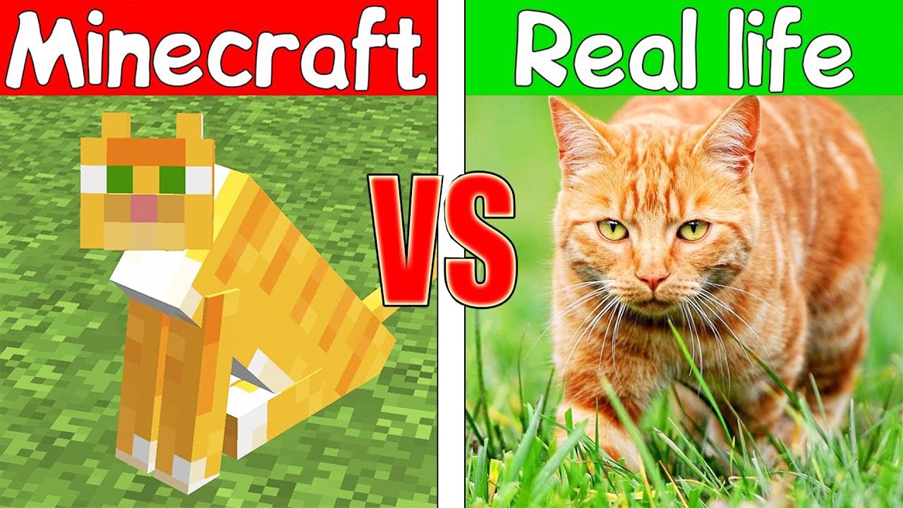 Против реальной. Майнкрафт против реальной. Майнкрафт vs реальная жизнь. Minecraft против реальной жизни. Майнкрафт vs реальная жизнь приколы.