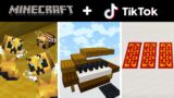 Minecraft Tik Tok Compilation 21