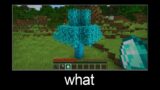 Minecraft wait what meme part 138 (diamond tree)