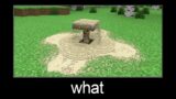 Minecraft wait what meme part 154 (realistic sand)