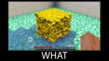 Minecraft wait what meme part 44 Realistic sponge and water