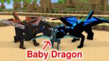 Monster School : Baby Dragon Finds Its Parents – Sad Story – Minecraft Animation