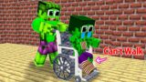 Monster School : Come On Hulk ! Hulk Practise Boxing Help Little Brother – Sad Story – Minecraft