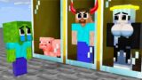 Monster School : Master Baby Zombie and Stupid Friends – Minecraft Animation