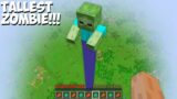 What HAPPENED to THIS MOST TALLEST ZOMBIE in Minecraft ! BIGGEST ZOMBIE !