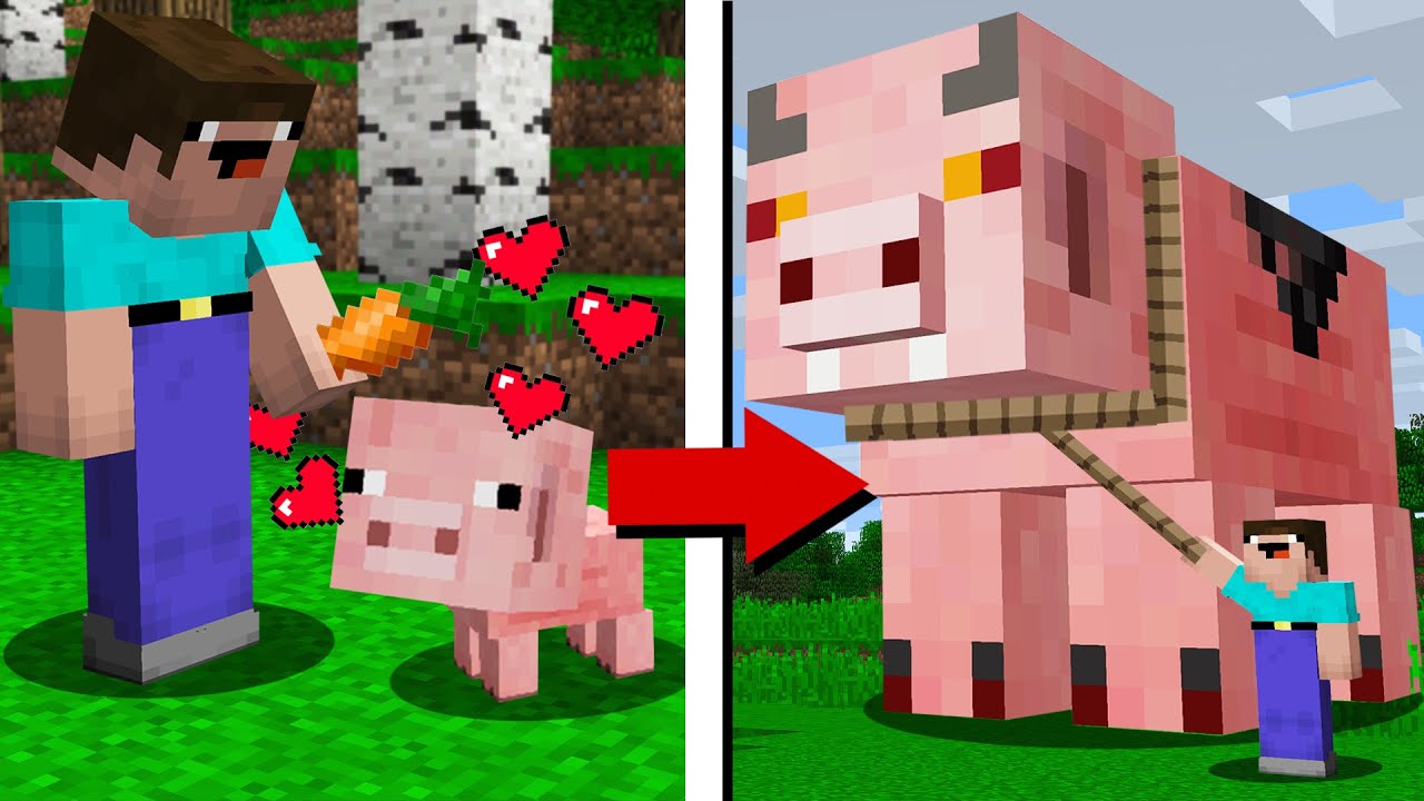 What HAPPENS if you TAME a PIG in minecraft? in Minecraft Noob vs Pro ...