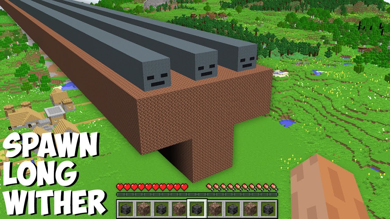 What if you SPAWN SUPER LONG WITHER OF 1000 BLOCKS in Minecraft