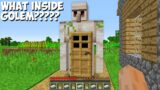 Where DOES SECRET DOOR INSIDE GOLEM LEAD in Minecraft Challenge 100% Trolling