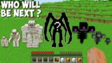 Which MOB WILL BE NEXT GOLEM VS WITHER in Minecraft ! WHO IS THIS SECRET MOB ?