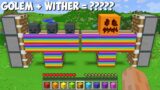 I can COMBINE BIGGEST RAINBOW GOLEM and RAINBOW WITHER in Minecraft ! GOLEM + WITHER = ????