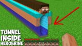 I found LONG TUNNEL INSIDE HEROBRINE in Minecraft ! WHERE DOES LEAD THIS TUNNEL ?