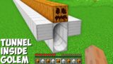 I found LONG TUNNEL INSIDE IRON GOLEM in Minecraft ! WHERE DOES LEAD THIS TUNNEL ?