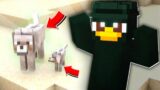 MINECRAFT | The wolf family needs help! | #Shorts