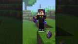 Minecraft Life Hacks you Should Try (part 5)