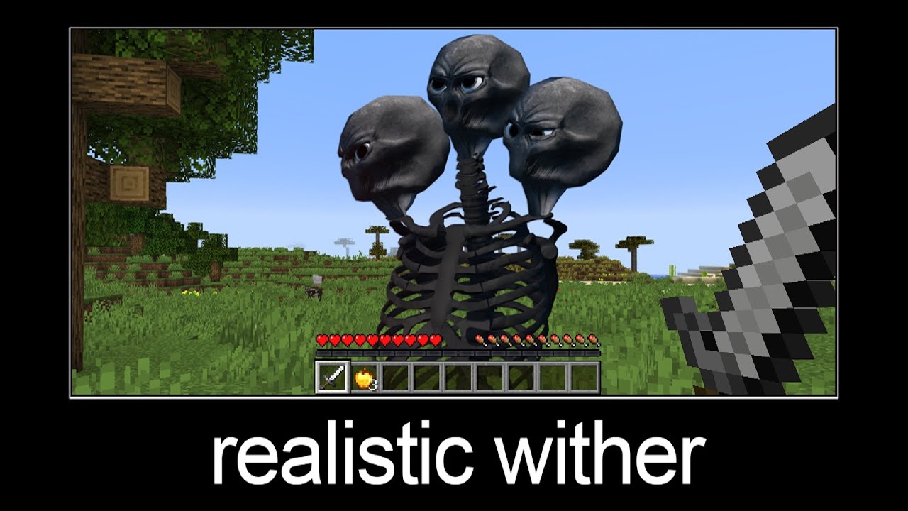 Minecraft Wait What Meme Part 155 Realistic Wither Minecraft Videos Minecraft Wait What Meme Part 155 Realistic Wither Minecraft Videos