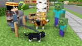 Monster School : BABY ZOMBIE BOUGHT AN EVIL CAT – Minecraft Animation