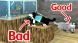 Monster School : BAD DOG and GOOD DOG – Minecraft Animation