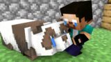 Monster School : Baby Panda And Baby Herobrine Life – Sad Story – Minecraft Animation