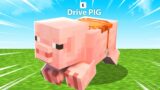 Ridable Minecraft Pig (Teardown)