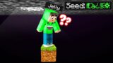 These GLITCH SEEDS In Minecraft ACTUALLY WORK…