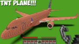 What WILL HAPPEN IF YOU LIGHT BIGGEST PLANE OF TNT in Minecraft Challenge 100% Trolling