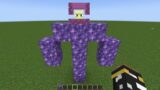 what if you create a SUPER SHULKER in MINECRAFT
