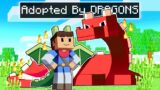 Adopted By DRAGONS In Minecraft …