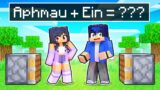 Aphmau + Ein = ??? In Minecraft!