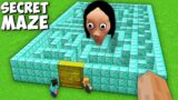 How LABYRINTH ESCAPE FROM MOMO in MINECRAFT GAMEPLAY ANIMATIONS MINECRAFT funny