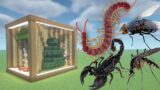How To Make a Centipede, Fly, Scorpion, and Mosquito Farm in Minecraft PE