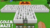 I can SPAWN A BIGGEST GOLEM MAZE in Minecraft ! WHERE DOES THIS SECRET MAZE LEAD ?