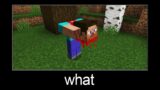 Minecraft wait what meme part 182 (scary headless Steve)