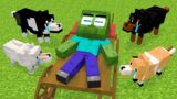 Monster School : Baby Zombie and Poor DOG Friendship – Sad Story – Minecraft Animation