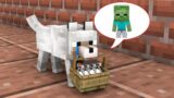 Monster School : The Dog Finds Food For Baby Zombie – Minecraft Animation