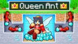 Playing As The QUEEN ANT In Minecraft!