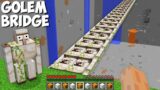 Where DOES THIS LONG GOLEM BRIDGE LEAD in Minecraft ? SECRET IRON GOLEM BRIDGE !