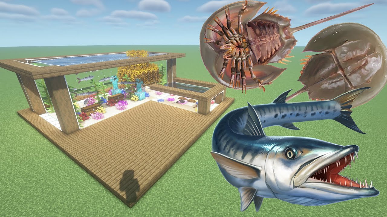 How To Make a Barracuda and Horseshoe Crab Farm in Minecraft PE Minecraft videos