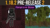 Minecraft 1.18.2 Pre-Release 2 – Mangrove Biome Preview!