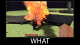 Minecraft wait what meme part 75 realistic minecraft Ender Dragon