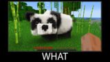 Minecraft wait what meme part 76 realistic minecraft Panda