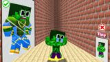 Monster School : Hulk Into Tiny Because Bad Mage – Sad Story – Minecraft Animation