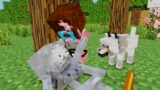 Monster School : Poor Wolf – Minecraft Animation