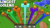 What SUPER LONGEST GOLEM SHOULD I SPAWN in Minecraft ? WHICH LONG GOLEM IS THE BEST ?